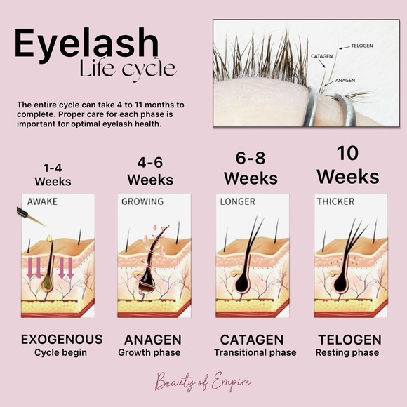 LASH+BROW GROWTH SERUM 
💗🌿HERB 🌿 SUPER FOOD 🌿💗 - Picture 5 of 7